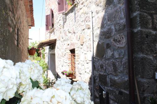 an alley with white flowers next to a stone building at L' antico lavatoio in Radicofani