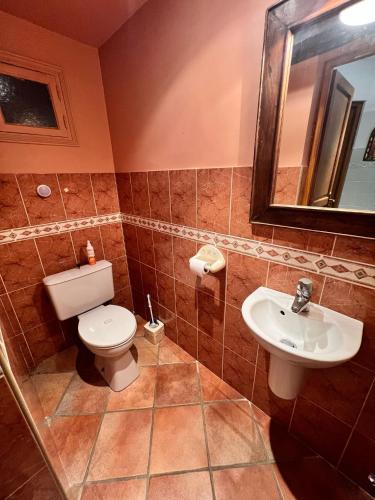 a bathroom with a toilet and a sink at Le Gîte d'antan - L'Artdu'Net - in Omicourt