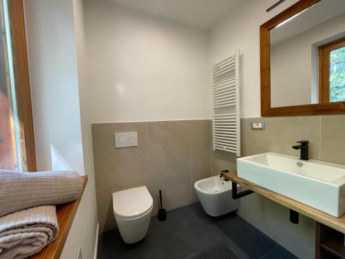 a bathroom with a sink and a toilet and a mirror at Studiò Le Bois in Cerise