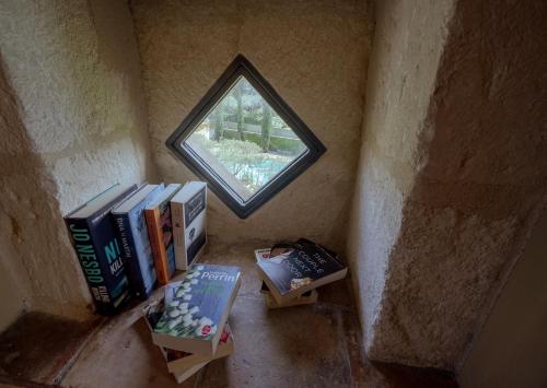 a small window in a room with books at La Belle Vie in Saint-Hilaire-dʼOzilhan