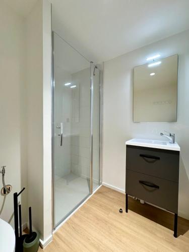 une salle de bain avec une douche, un lavabo et un miroir dans l'établissement We Live Inn Sharies Reims - B502, à Reims