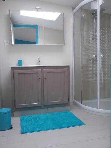La salle de bains est pourvue d'une douche et d'un tapis bleu. dans l'établissement Chevrefeuille et Eglantine, à LʼÎle-dʼOlonne