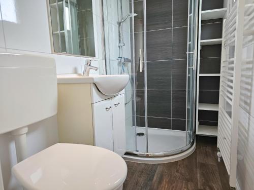 a bathroom with a shower and a toilet and a sink at Familie Chalet Oostkapelle OK30 in Oostkapelle