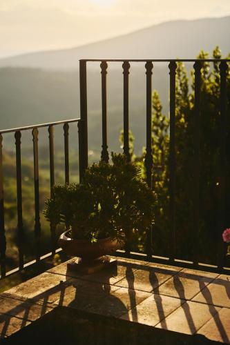 a plant sitting on top of a balcony at Agriturismo Fattoria Poggio di Fiesole in Fiesole