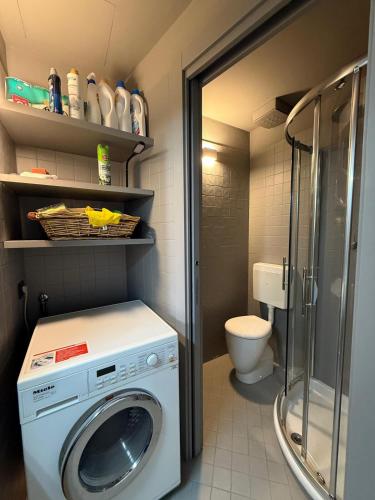 a bathroom with a washing machine and a toilet at Brescia Living in Brescia