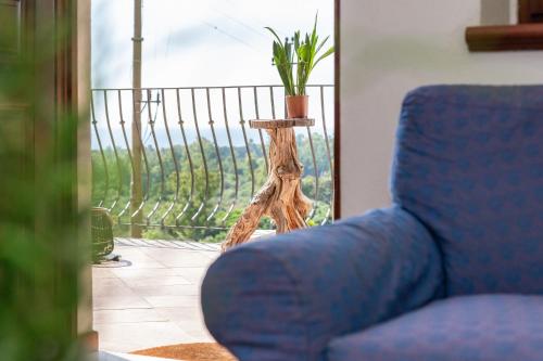 a blue couch sitting in a living room with a plant at Casa Isolotto D'Ogliastra - vista mare in Lotzorai