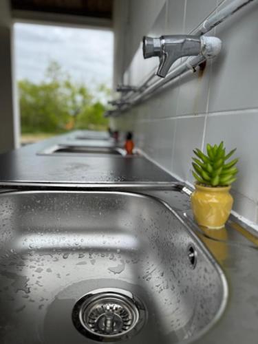 un évier de cuisine avec un robinet et une plante dans un pot dans l'établissement CAMPING ANIMAL KING, à Esnandes