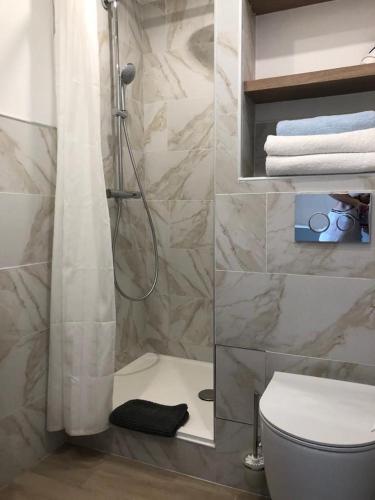 La salle de bains est pourvue d'une douche, de toilettes et de serviettes. dans l'établissement Studio in Saint tropez, swimming pool and parking, à Saint-Tropez
