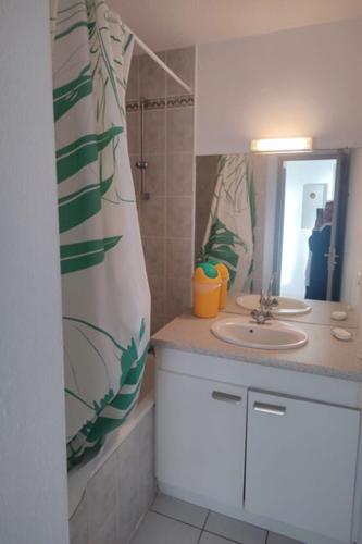 une salle de bain avec un lavabo et un miroir dans l'établissement Très beau T2 - Emeraude 40, à Canet