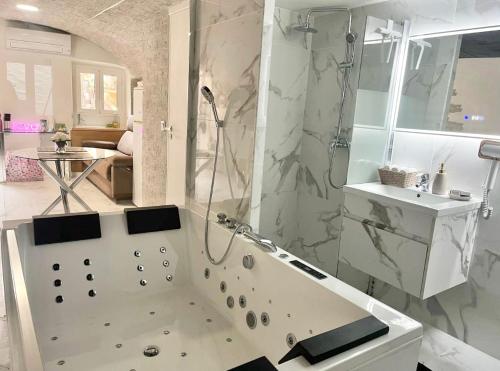 une salle de bain avec douche et lavabo dans l'établissement Nice Room, à Nice