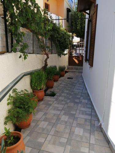 Φωτογραφία από το άλμπουμ του Eleni's Traditional Home with Barbeque στον Ζαρό