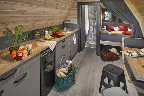 - une cuisine et un salon dans une petite maison dans l'établissement Chalet 4 étoiles - efaabh, à Roquebrune-sur Argens