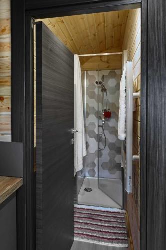 une salle de bain avec une douche avec une porte vitrée dans l'établissement Chalet 4 étoiles - efaabh, à Roquebrune-sur Argens
