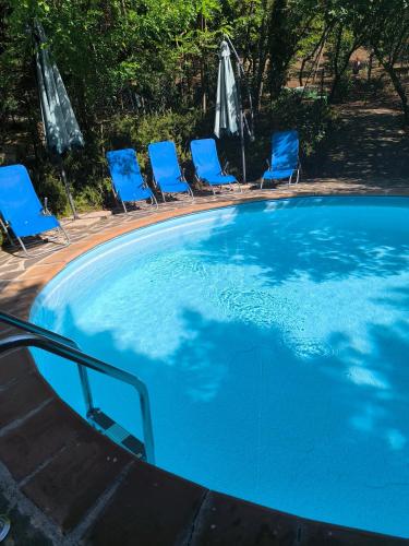a swimming pool with blue chairs and a group oficans at Tamerici House in Montecastrilli