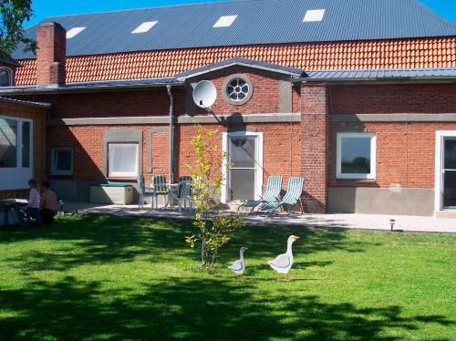 deux oiseaux debout dans l'herbe devant une maison dans l'établissement Bauernhof Urlaub FeWo Nr 2 - 2-Personen, à Schlagsdorf