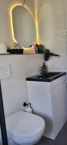 a bathroom with a toilet and a sink and a mirror at E+E Apartment Nah am Centro in Oberhausen