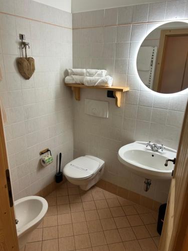 a bathroom with a toilet and a sink and a mirror at Agriturismo ValFraja in Cembra