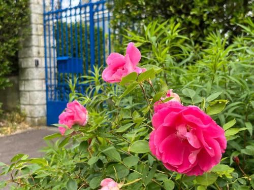 Gite Mitoyen, Le Chant des Roses