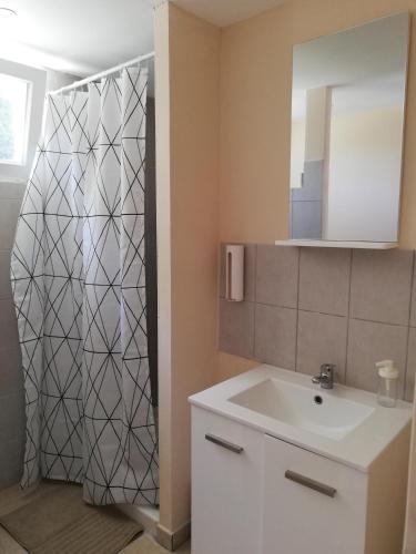 une salle de bain avec un lavabo et une douche avec un miroir dans l'établissement Studio La Gière, à Beaumes-de-Venise