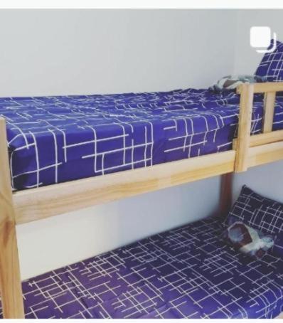 a bed with a blue comforter and a cat sitting next to it at C&R Hostel Residencial in Salvador