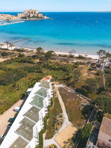 an aerial view of a beach and the ocean at Calvi Hôtel in Calvi