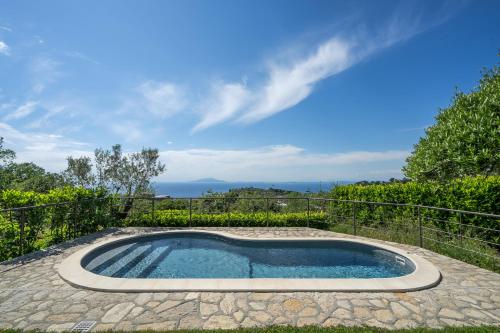 a swimming pool in the middle of a yard at Villa Mimì between Sorrento and Positano in Massa Lubrense