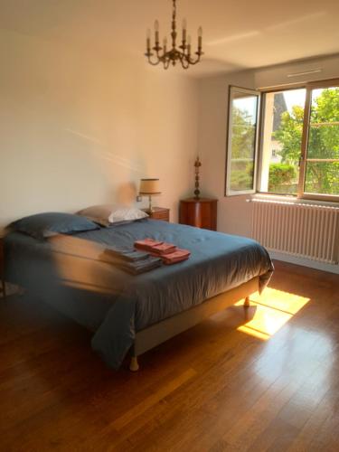 a bedroom with a bed and a chandelier at Longue Vue en Arbois in Arbois