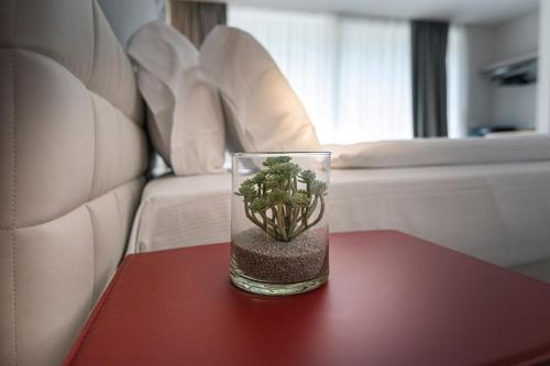 a glass vase with a cactus sitting on a table at Locanda Monte Baldo in Malcesine