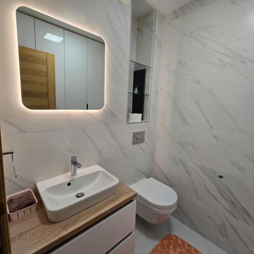ポドゴリツァにあるViolet- City Kvart Luxury 2 Bedroomの洗面台とトイレを備えた白いバスルーム