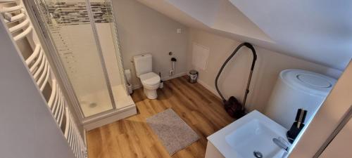 une petite salle de bain avec toilettes et lavabo dans l'établissement Le Chatenay - Appartement Angers - WIFI Gratuit, à Angers