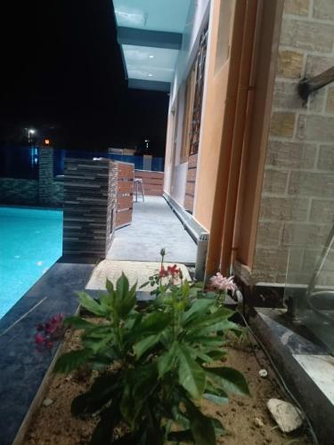 a building with a swimming pool at night at Little Hearts in Chennai