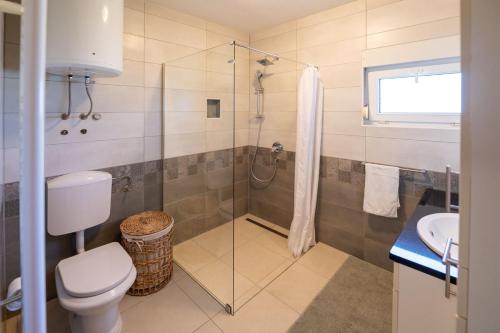 a bathroom with a shower and a toilet and a sink at Villa Violet in Grude