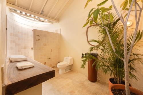 a bathroom with a toilet and a potted plant at Arde La Selva in Santa Fe de Antioquia