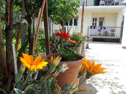 Apartment Marija 2
