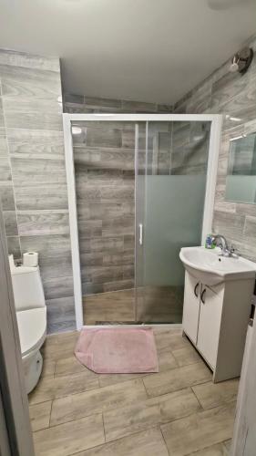 a bathroom with a shower and a toilet and a sink at Penzion Zelený Dvor in Veľká Lomnica