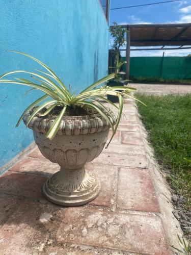 Gallery image of Casa Adianchi in La Punta