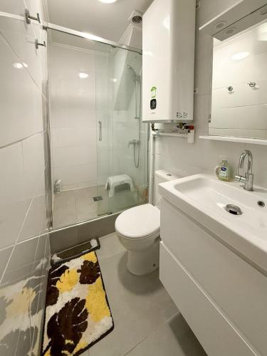 une salle de bain avec toilettes, lavabo et douche dans l'établissement Appartement 1 Salon et 1 Chambre Proche Notre Dame Paris 5 Centre Paris, à Paris