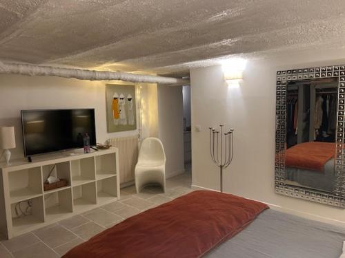 une chambre avec un lit et une télévision dans l'établissement Appartement Loft centre ville, à Puteaux
