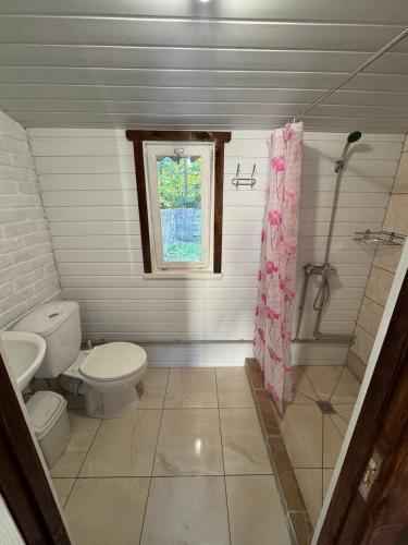 a bathroom with a toilet and a shower and a window at Хуторок in Svityazʼ
