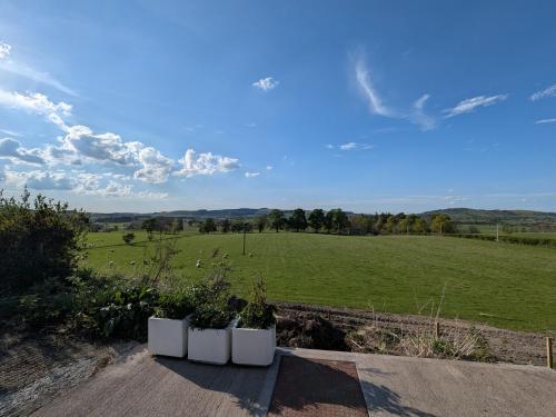 a view of a field with plants in white pots at 2 Bed in Biggar 95516 in Biggar