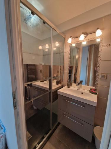 une salle de bain avec deux lavabos et une douche dans l'établissement Spacieux Duplex à Villeurbanne 6 Pers Tout Comfort, à Villeurbanne
