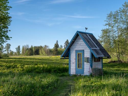 a small house in a field of grass at Tiny house at countryside in Jõgeveste