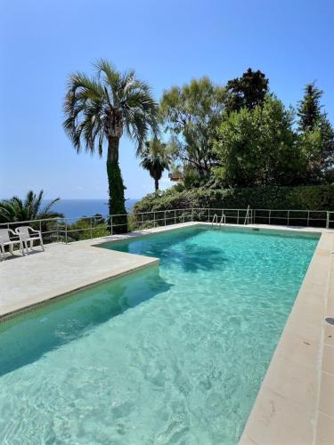 une piscine avec un palmier et l'océan dans l'établissement Château de l 'Aube - AzuRenting Conciergerie, à Vallauris