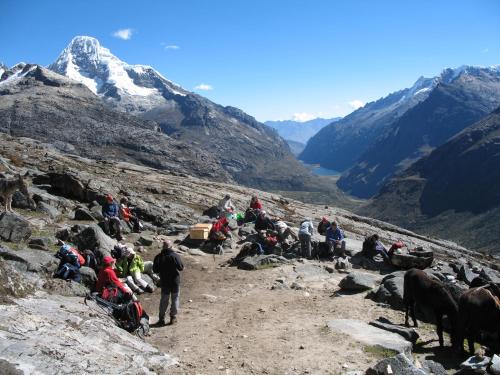 a group of people on a mountain with animals at SANTA CRUZ TREKKING 4 DAYS from Vaqueria to Cashpampa purchase one night valued for 4 days trekking in Huaraz