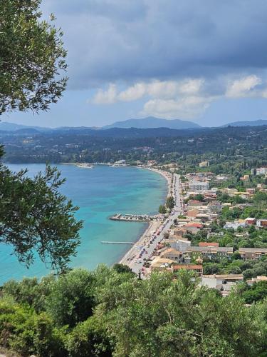 a view of a beach and the ocean at Fiori Sea View Apartment in Pyrgi