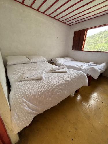 two beds in a small room with a window at Finca La Macarena by Welttisch in Génova