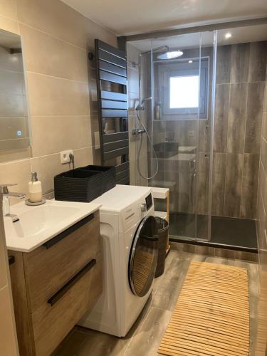 La salle de bains est pourvue d'un lave-linge et d'une douche. dans l'établissement Rare, charmant T3 de 63m2, calme dans une maison, place de parking comprise, à Chamonix-Mont-Blanc