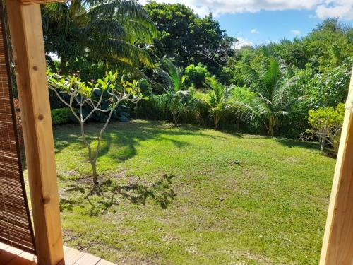 a garden with a small tree in the yard at Les Pêcheurs in Le Morne