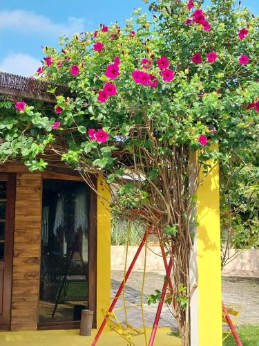 a tree in front of a house with pink flowers at Chácara Catavilela in Jacareí