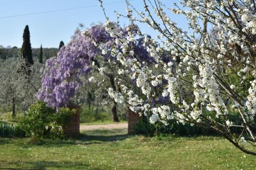 Κήπος έξω από το Historic Farmhouse In The Tuscan Hills